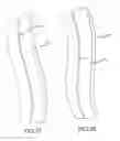 Fig. 20 - Body protector