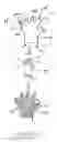 Fig. 07 - Glove
