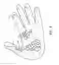 Fig. 07 - Utility glove