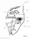 Fig. 14 - Mask