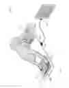 Fig. 26 - Footwear with support and traction