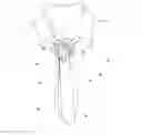Fig. 01 - NECKTIE ACCESSORY AND COMBINATION