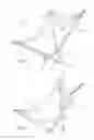 Fig. 05 - PORTABLE CHAIR