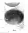 Fig. 08 - Cooking apparatus having wooden side members