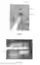 Fig. 13 - Cooking apparatus having wooden side members