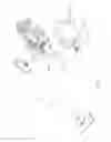 Fig. 11 - Surface cleaning apparatus
