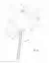 Fig. 13 - Surface cleaning apparatus