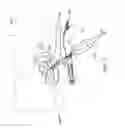 Fig. 20 - DEVICES AND METHODS FOR MINIMALLY INVASIVE ARTHROSCOPIC SURGERY