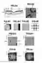 Fig. 07 - Ophthalmologic apparatus and ophthalmologic apparatus control method