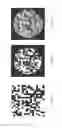 Fig. 10 - Methods and apparatus for assessment of refractive condition