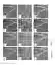 Fig. 08 - Methods and Systems for Determining Hemodynamic Properties of a Tissue