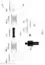 Fig. 06 - Method and Device for Patient Monitoring Using Dynamic Multi-Function Device