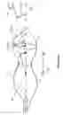Fig. 05 - Ellipticity measuring device