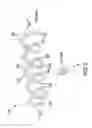 Fig. 06 - Systems, methods, and devices addressing the gastro-intestinal tract