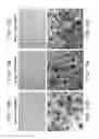 Fig. 15 - Device and method for imaging collagen structure in vivo