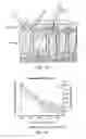 Fig. 16 - Device and method for imaging collagen structure in vivo