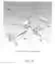 Fig. 25 - Anatomical imaging system with centipede belt drive