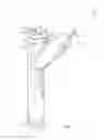 Fig. 02 - Methods of use of an anatomic structure extractor