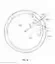 Fig. 19 - Apparatus and methods for bone access and cavity preparation