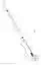 Fig. 02 - Membrane removing forceps