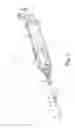 Fig. 02 - TUMOR MARGIN DEVICE