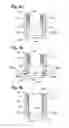 Fig. 04 - BONE ANCHORING DEVICE