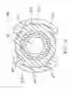 Fig. 19 - Polyaxial screw