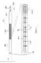 Fig. 24 - Systems and methods for posterior dynamic stabilization of the spine