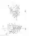 Fig. 02 - Surgical fastener with predetermined resorption rate