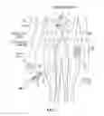 Fig. 03 - Multi-electrode catheter assemblies for renal neuromodulation and associated systems and methods