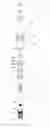 Fig. 04 - Fixture remover for implant