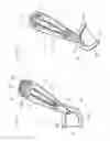 Fig. 09 - Flosser