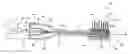 Fig. 01 - Electric toothbrush module
