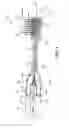 Fig. 02 - Electric toothbrush module