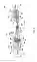 Fig. 05 - Electric toothbrush module
