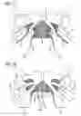 Fig. 12 - Implants and procedures for treatment of pelvic floor disorders