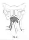 Fig. 18 - Implants and procedures for treatment of pelvic floor disorders