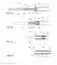 Fig. 02 - System and atraumatic mandrel for creating graft devices