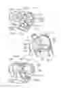 Fig. 03 - DEVICES, SYSTEMS, AND METHODS FOR RESHAPING A HEART VALVE ANNULUS INCLUDING THE USE OF MAGNETIC TOOLS