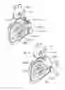 Fig. 04 - DEVICES, SYSTEMS, AND METHODS FOR RESHAPING A HEART VALVE ANNULUS INCLUDING THE USE OF MAGNETIC TOOLS