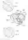 Fig. 05 - DEVICES, SYSTEMS, AND METHODS FOR RESHAPING A HEART VALVE ANNULUS INCLUDING THE USE OF MAGNETIC TOOLS
