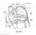 Fig. 07 - DEVICES, SYSTEMS, AND METHODS FOR RESHAPING A HEART VALVE ANNULUS INCLUDING THE USE OF MAGNETIC TOOLS