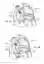 Fig. 08 - DEVICES, SYSTEMS, AND METHODS FOR RESHAPING A HEART VALVE ANNULUS INCLUDING THE USE OF MAGNETIC TOOLS