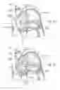 Fig. 15 - DEVICES, SYSTEMS, AND METHODS FOR RESHAPING A HEART VALVE ANNULUS INCLUDING THE USE OF MAGNETIC TOOLS