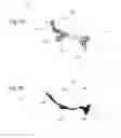 Fig. 12 - IMPLANTABLE PROSTHESES
