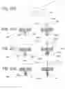 Fig. 25 - IMPLANTABLE PROSTHESES