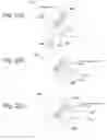 Fig. 27 - IMPLANTABLE PROSTHESES
