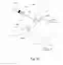 Fig. 31 - IMPLANTABLE PROSTHESES
