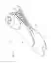 Fig. 02 - Foot prosthesis with resilient multi-axial ankle
