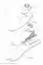 Fig. 05 - Foot prosthesis with resilient multi-axial ankle